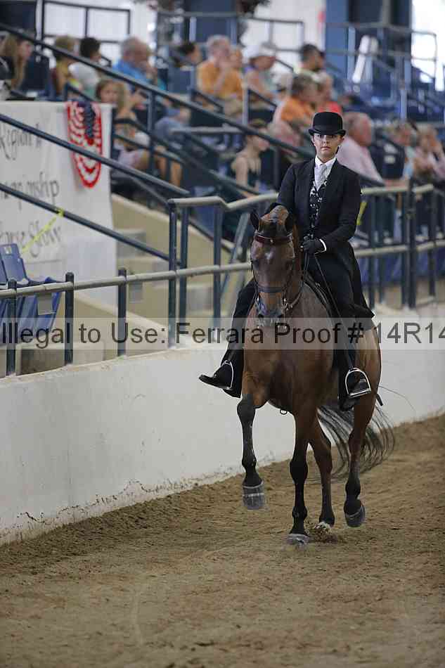 Proof Number 14r14_2810