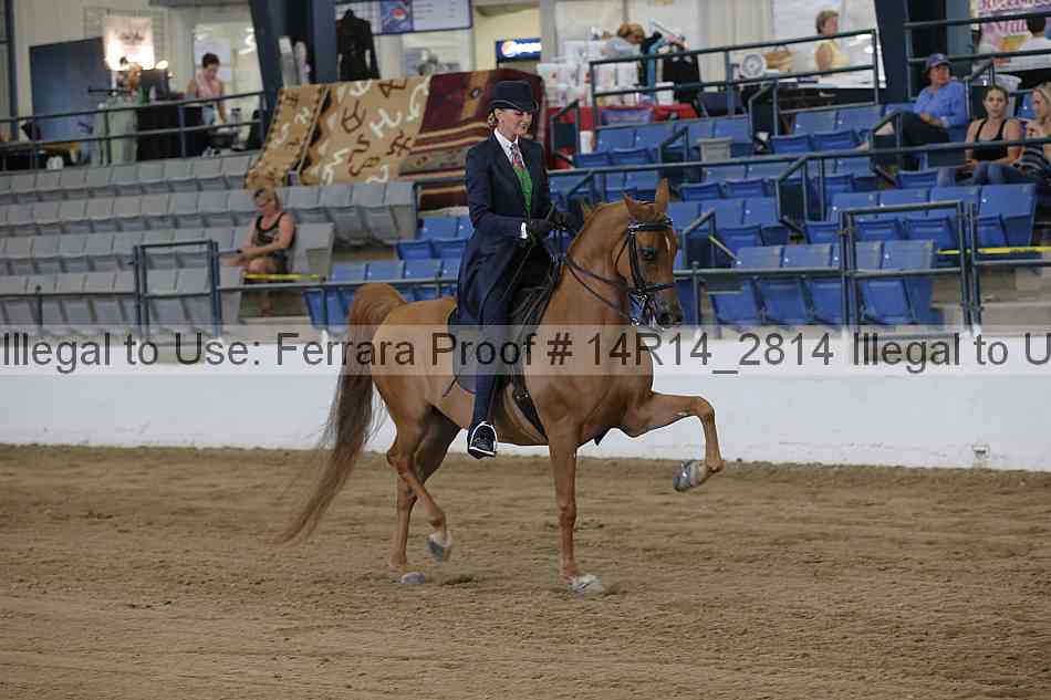 Proof Number 14r14_2814