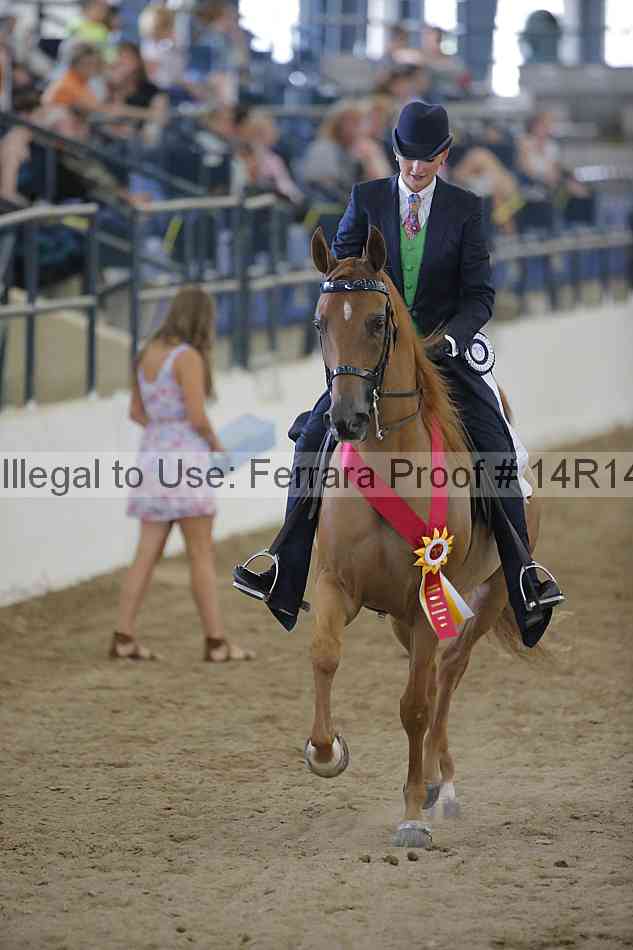Proof Number 14r14_2823