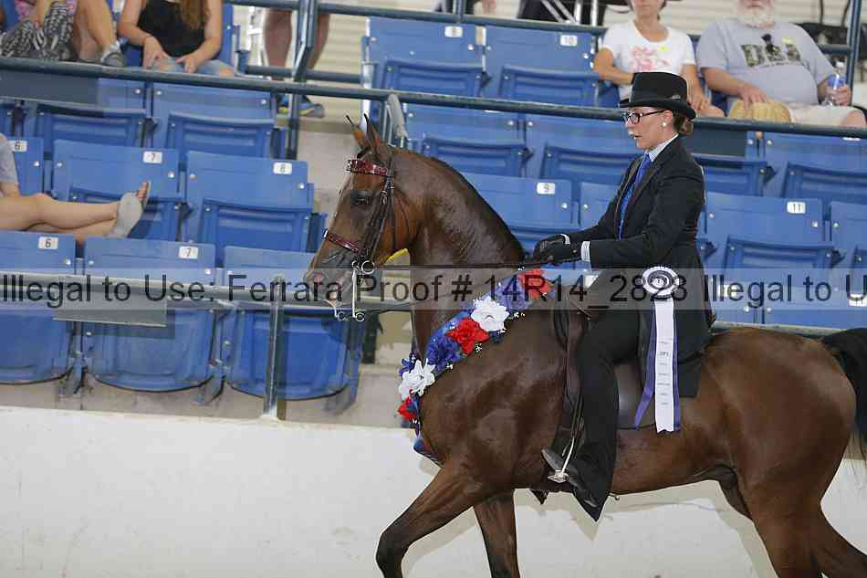 Proof Number 14r14_2828