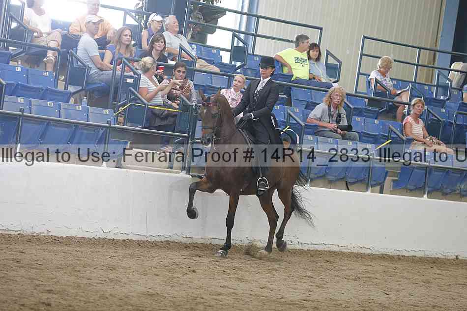 Proof Number 14r14_2833