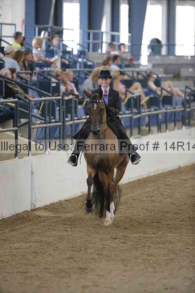 Proof Number 14r14_2834