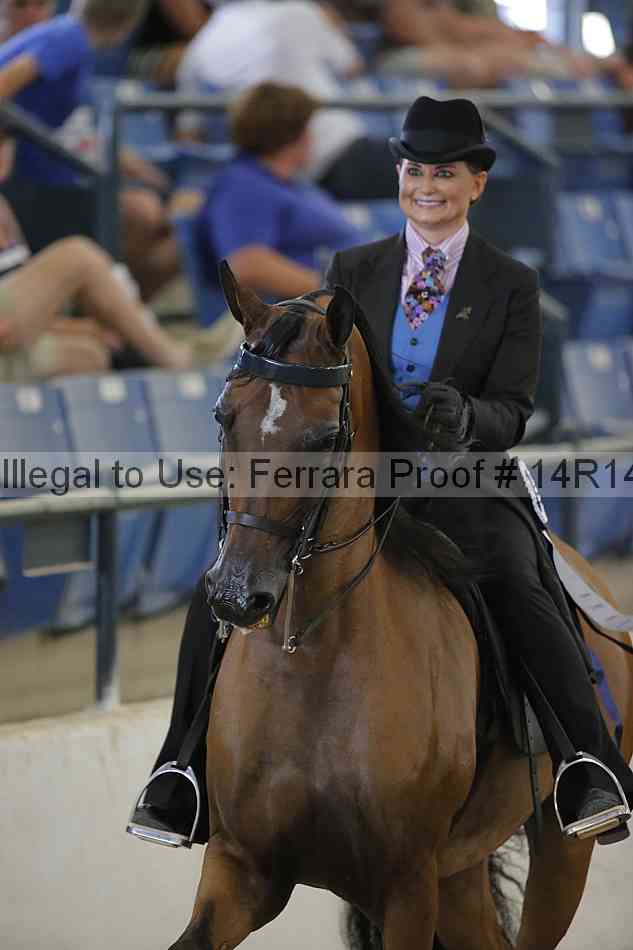 Proof Number 14r14_2839