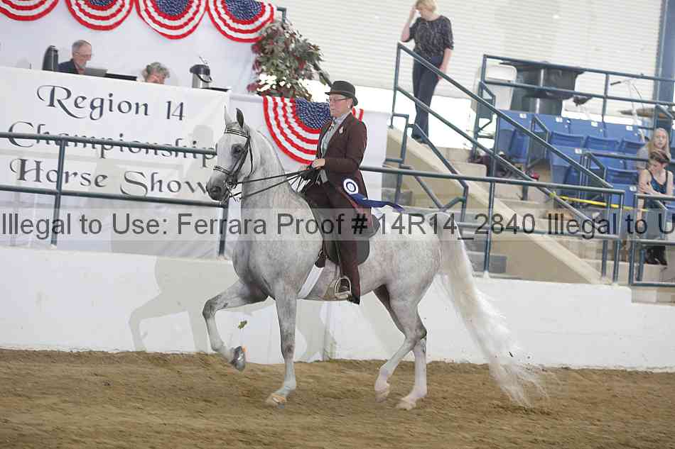 Proof Number 14r14_2840