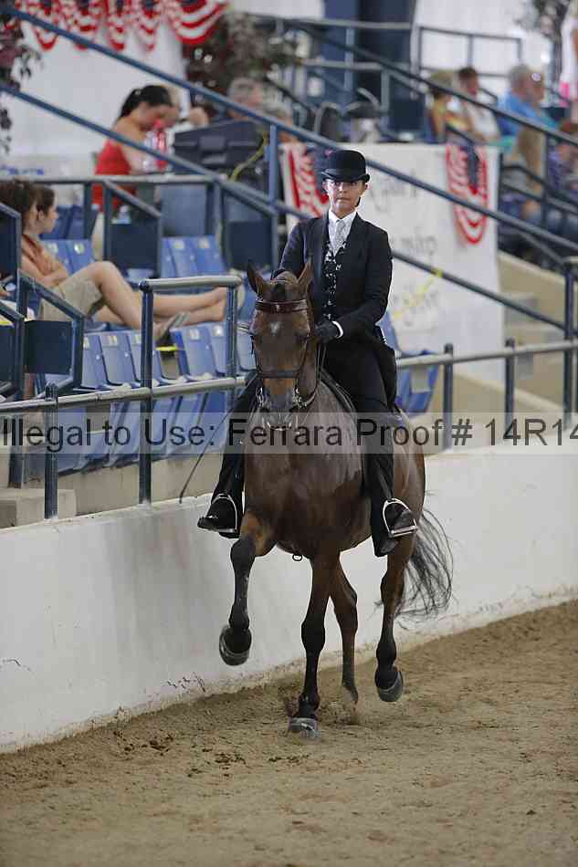 Proof Number 14r14_2842
