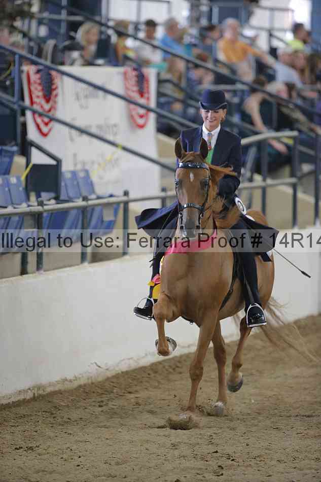 Proof Number 14r14_2846