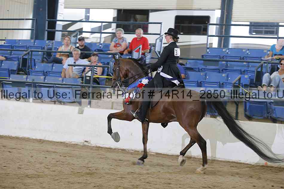 Proof Number 14r14_2850