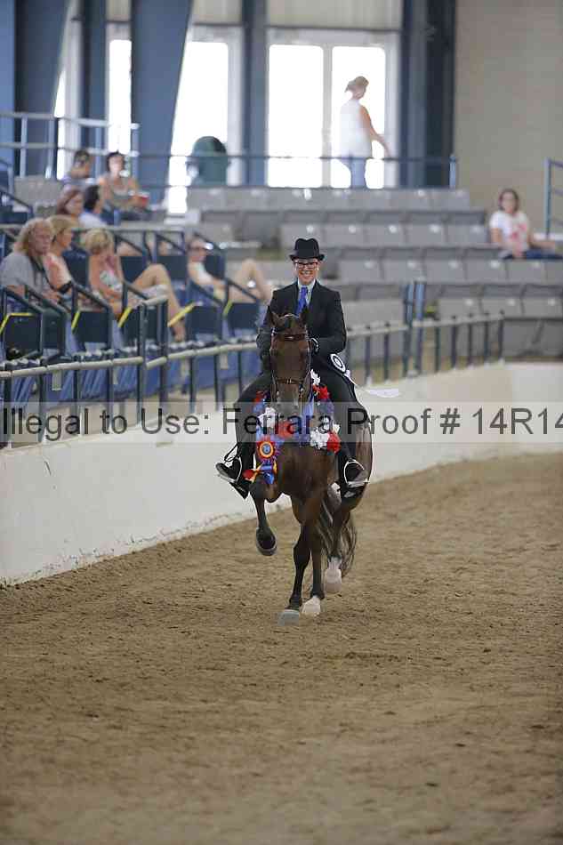 Proof Number 14r14_2851