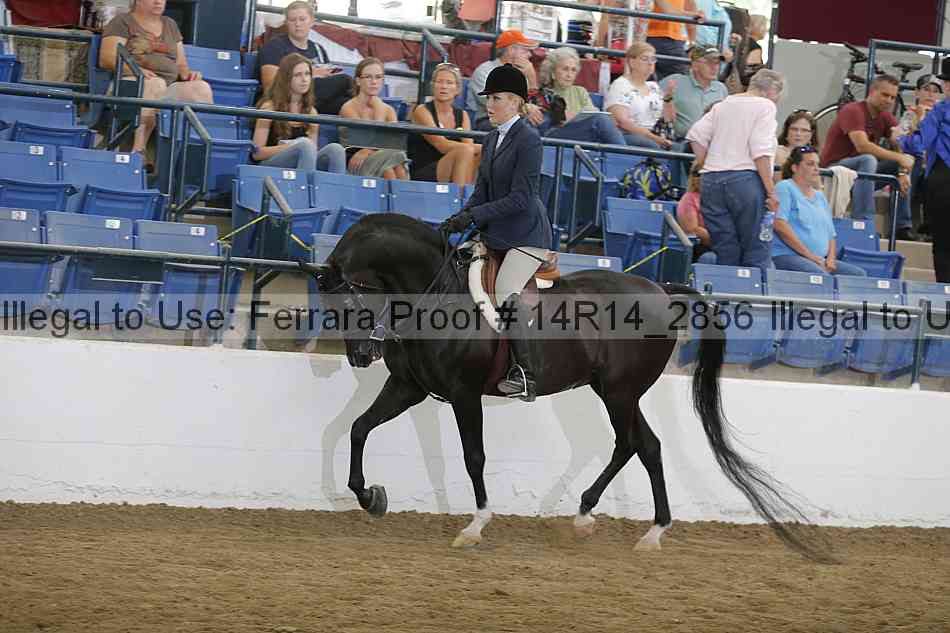 Proof Number 14r14_2856