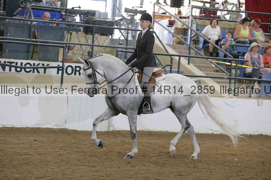 Proof Number 14r14_2859