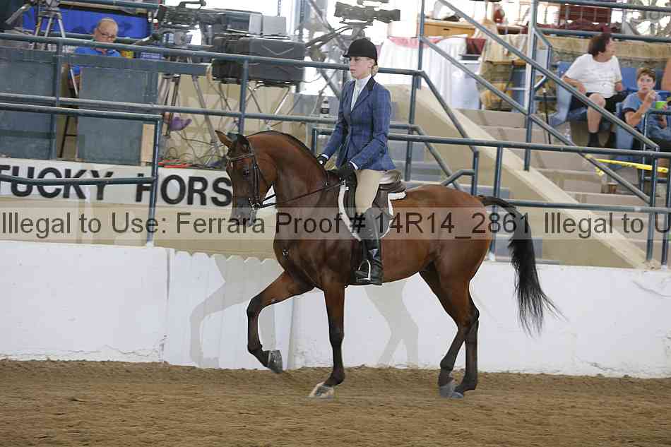 Proof Number 14r14_2861