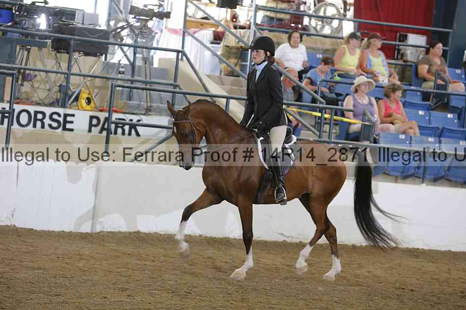 Proof Number 14r14_2871