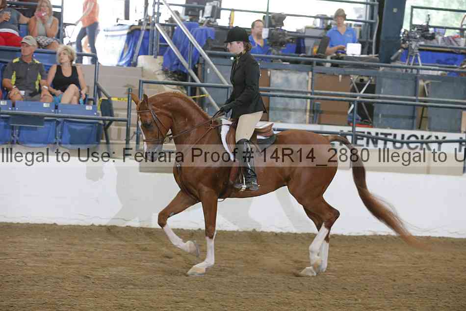 Proof Number 14r14_2880