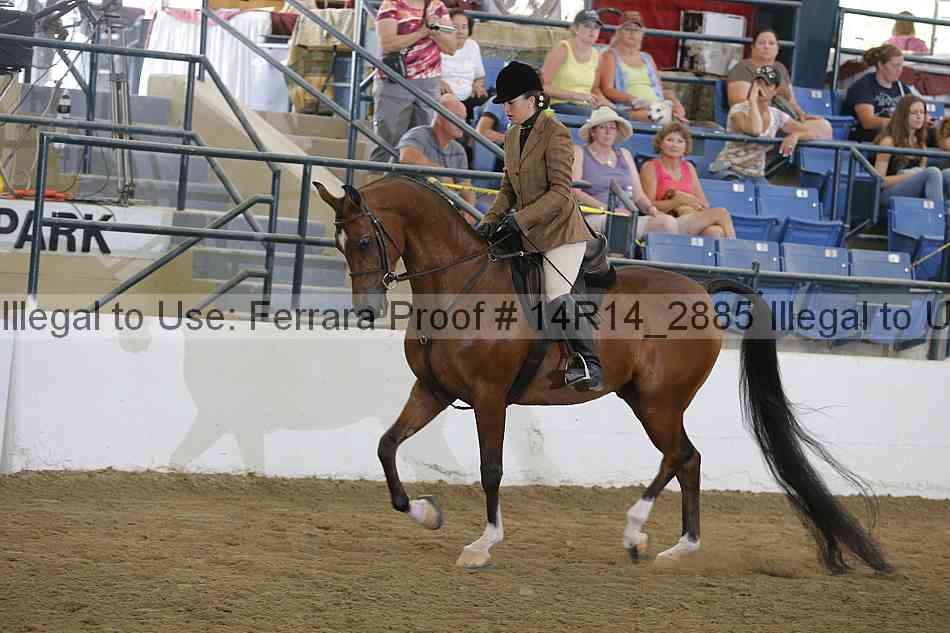 Proof Number 14r14_2885