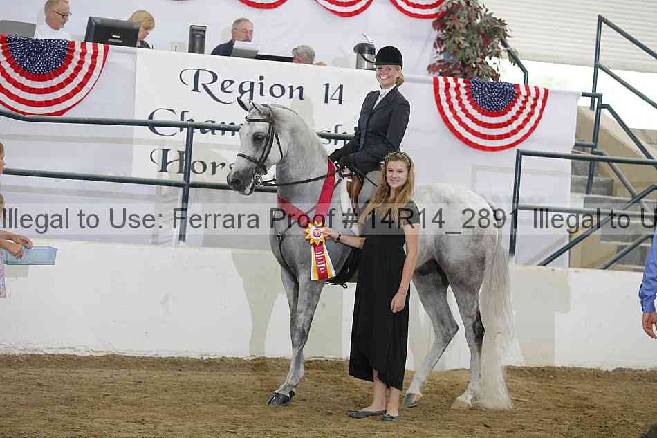 Proof Number 14r14_2891