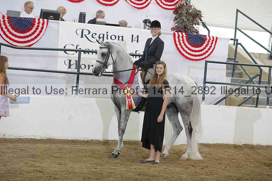 Proof Number 14r14_2892