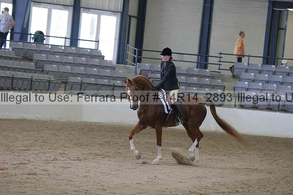 Proof Number 14r14_2893
