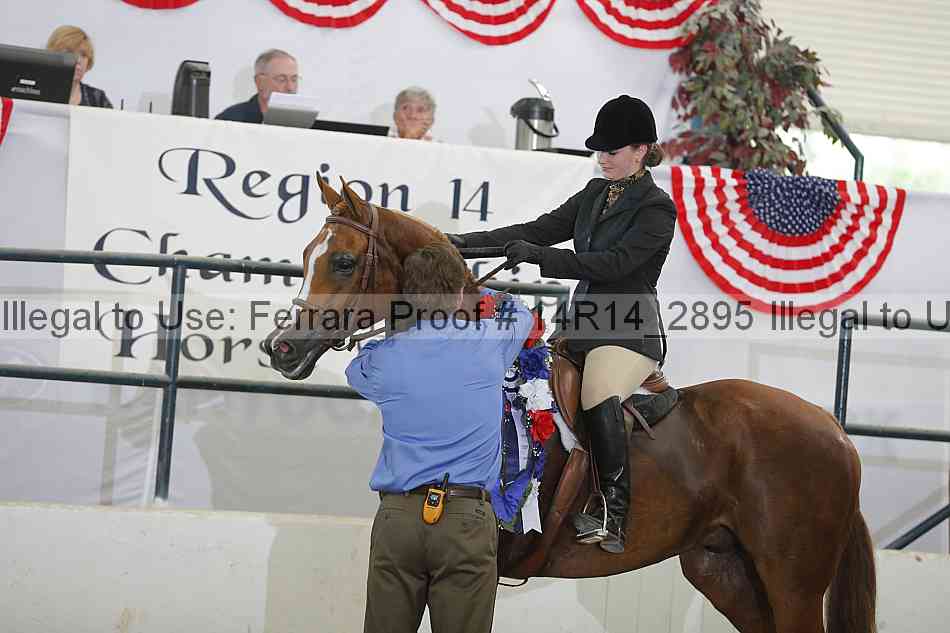 Proof Number 14r14_2895