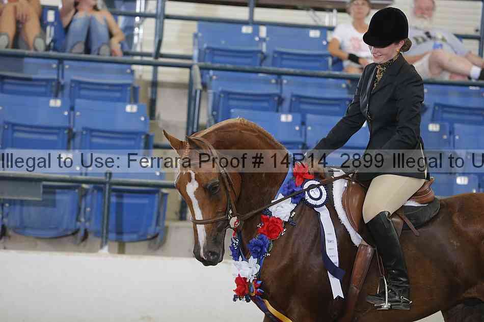 Proof Number 14r14_2899