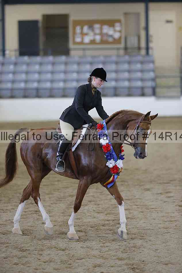 Proof Number 14r14_2900