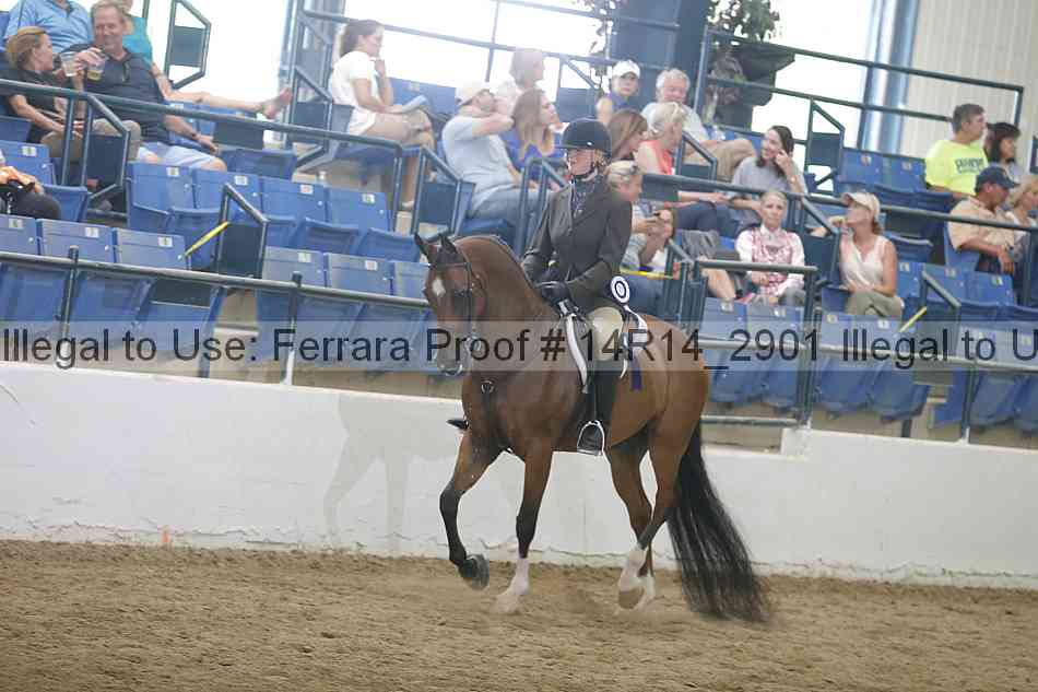 Proof Number 14r14_2901