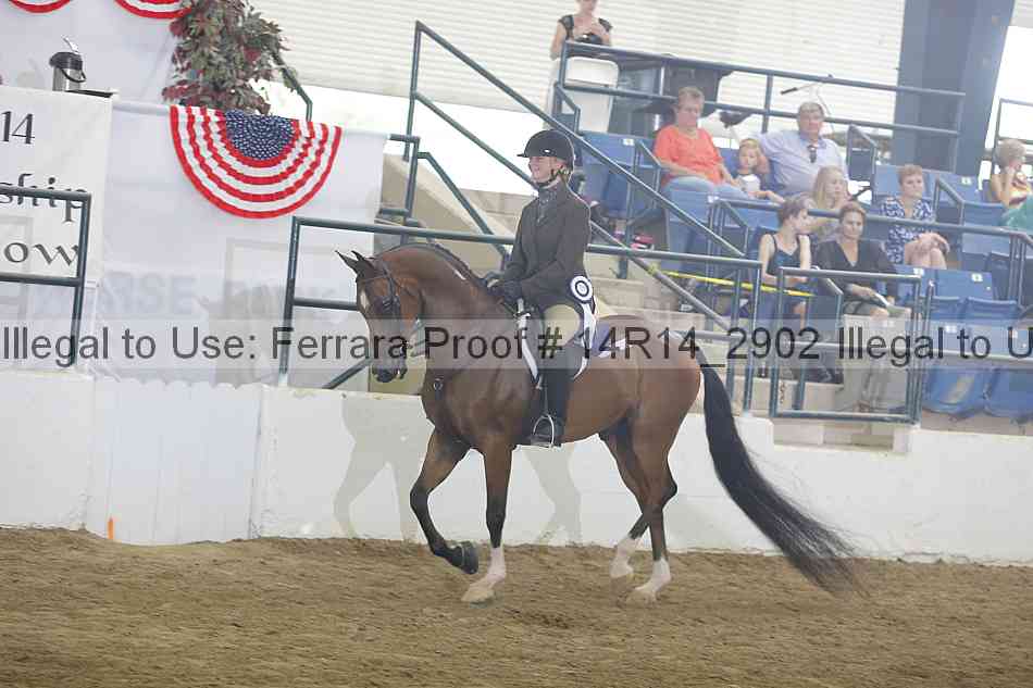 Proof Number 14r14_2902