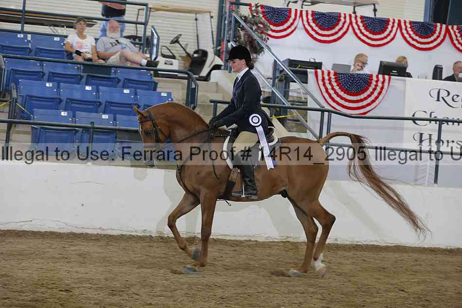 Proof Number 14r14_2905