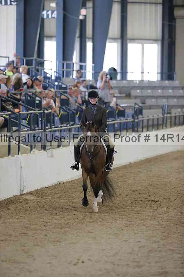 Proof Number 14r14_2906
