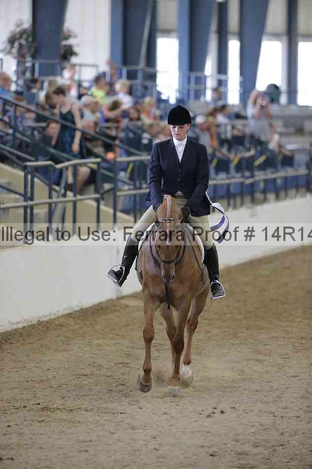 Proof Number 14r14_2909
