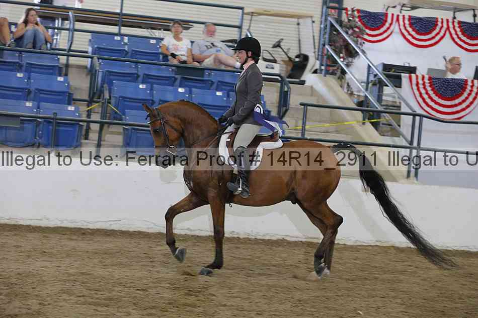 Proof Number 14r14_2911
