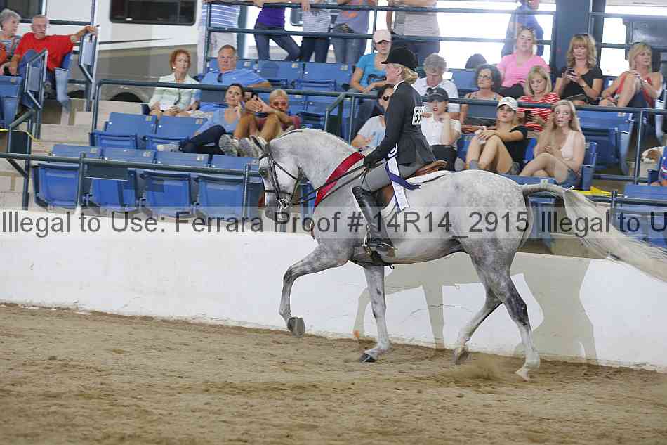 Proof Number 14r14_2915