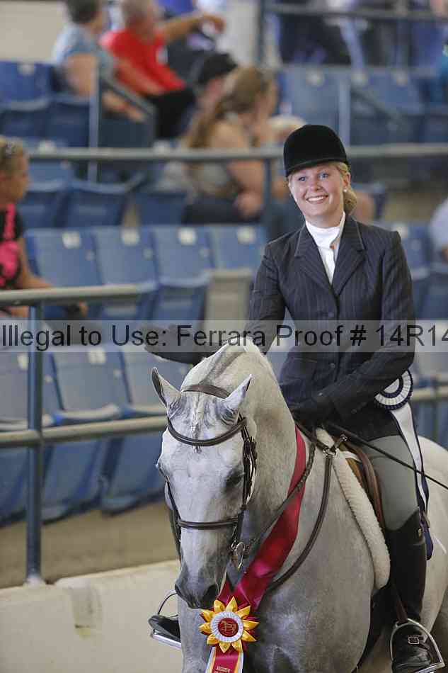 Proof Number 14r14_2918