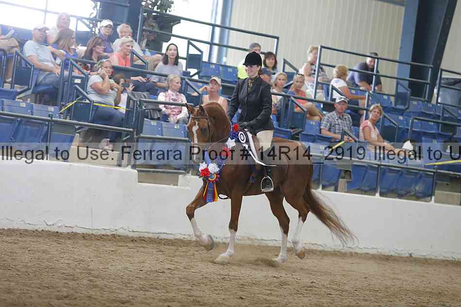 Proof Number 14r14_2919