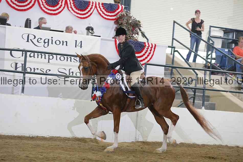 Proof Number 14r14_2920