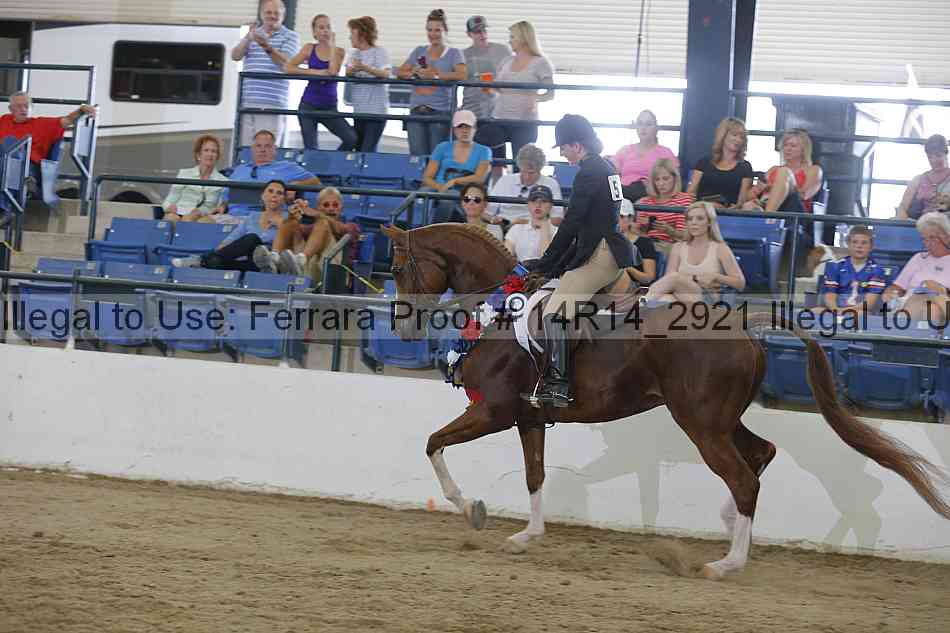Proof Number 14r14_2921