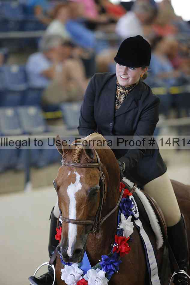 Proof Number 14r14_2925
