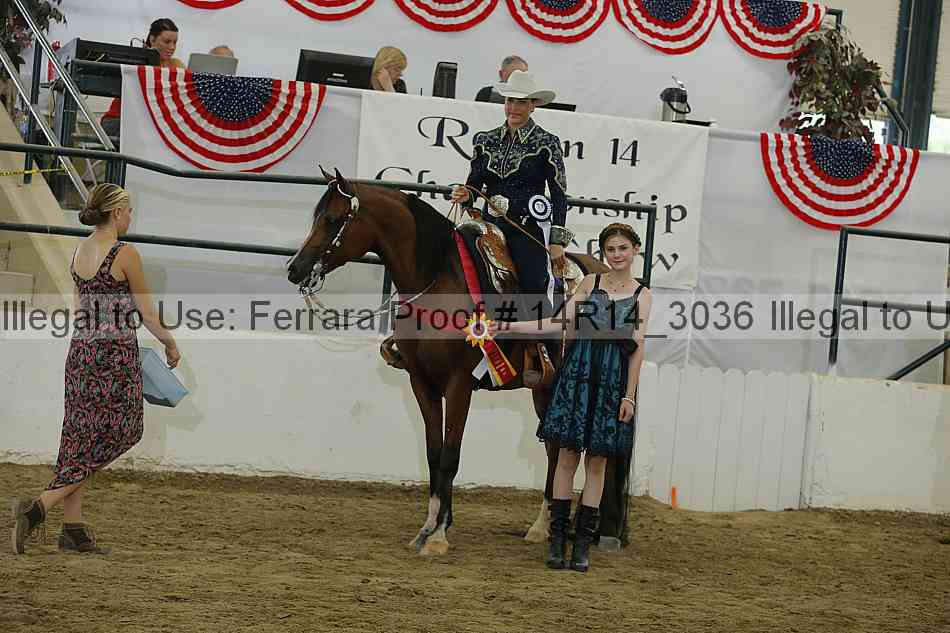 Proof Number 14r14_3036