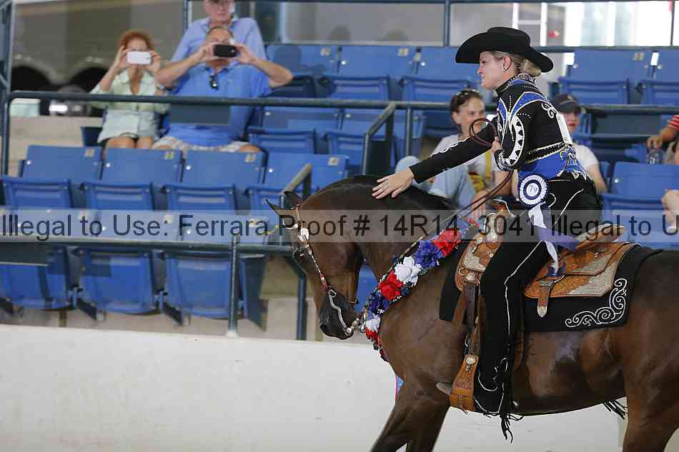 Proof Number 14r14_3041