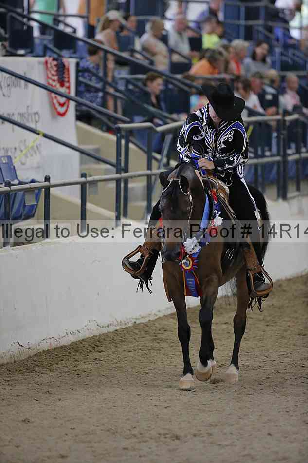 Proof Number 14r14_3042