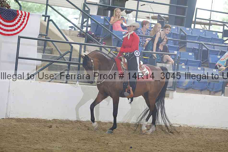 Proof Number 14r14_3045
