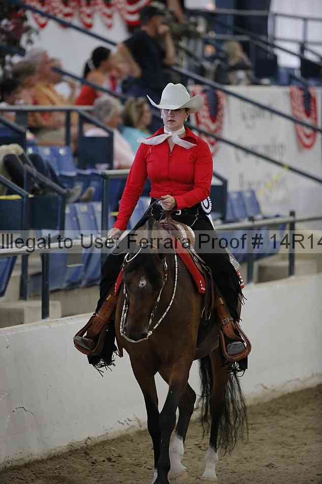 Proof Number 14r14_3049