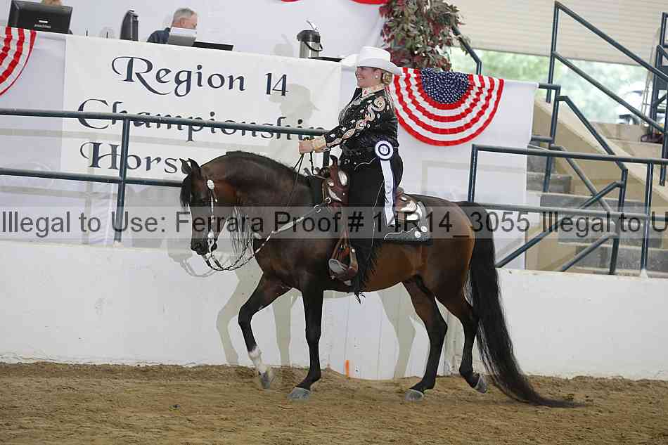 Proof Number 14r14_3055