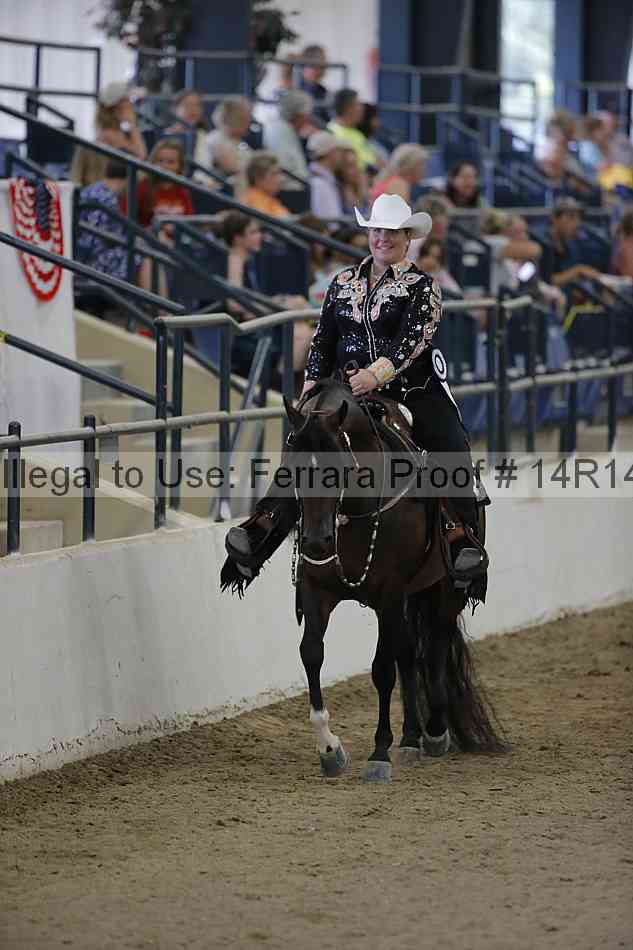 Proof Number 14r14_3058