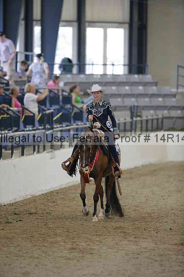 Proof Number 14r14_3061
