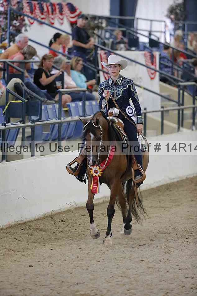 Proof Number 14r14_3063