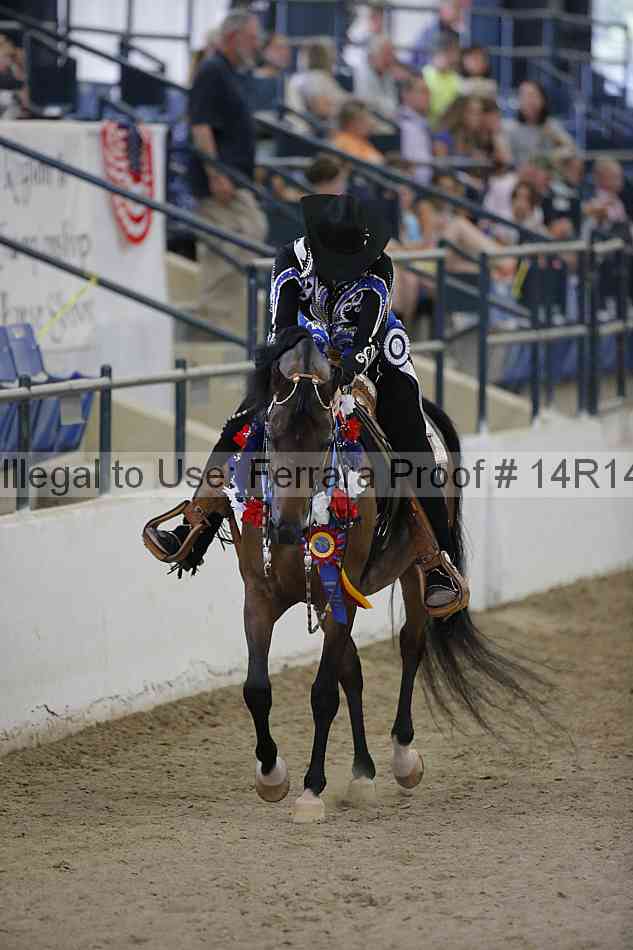 Proof Number 14r14_3071