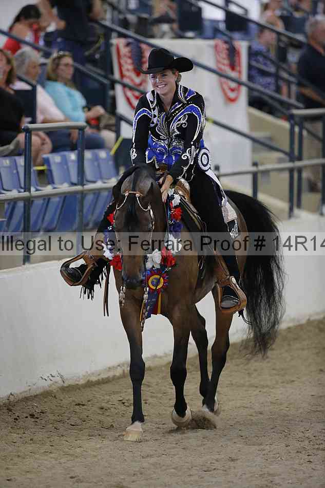 Proof Number 14r14_3073