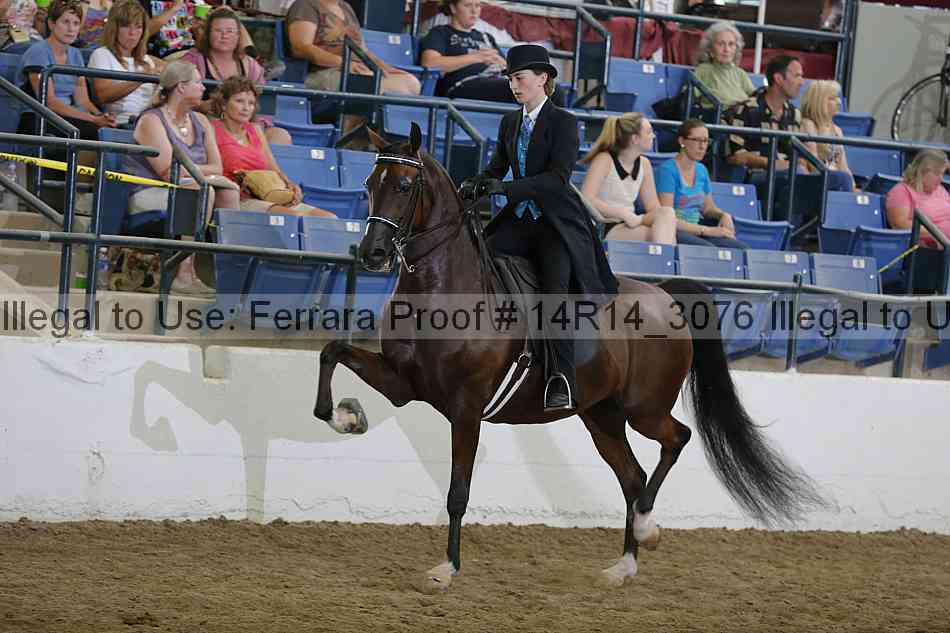 Proof Number 14r14_3076