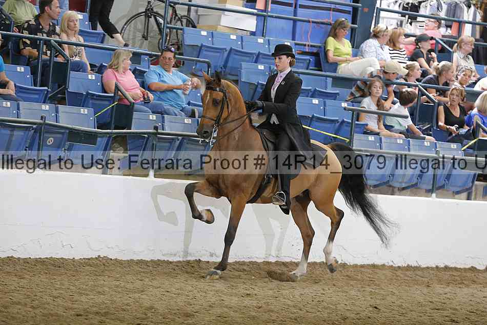 Proof Number 14r14_3079