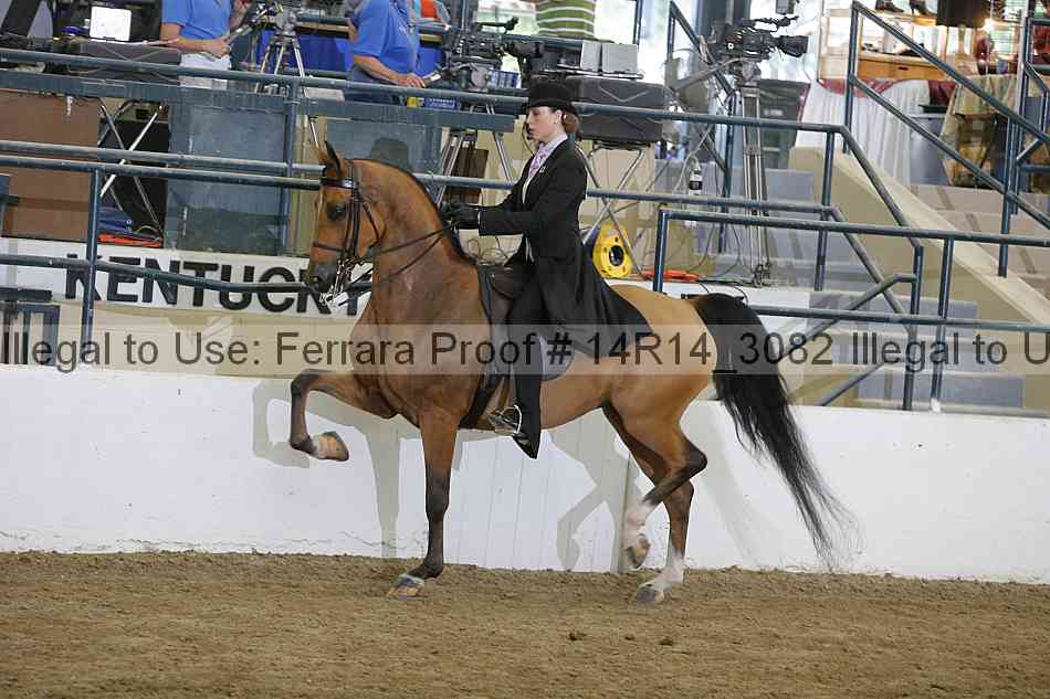 Proof Number 14r14_3082